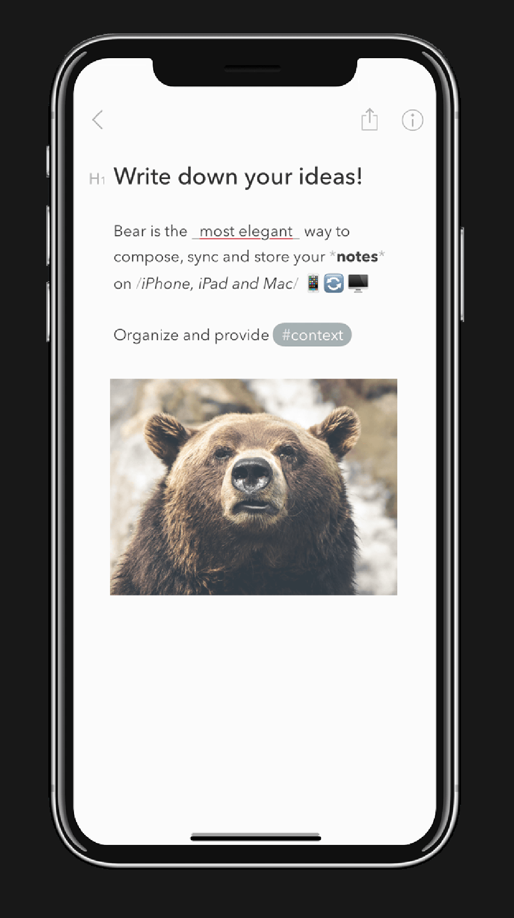 Bear Screenshot 1