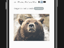 Bear Screenshot 1