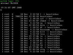 NetBSD 4.0 kernel booting with BeastieBox