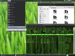 Early desktop