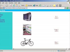 Homepage of the shop