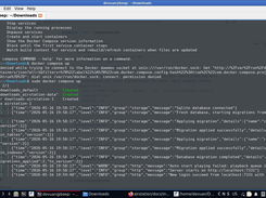 Running a Docker Image on the LXQt desktop