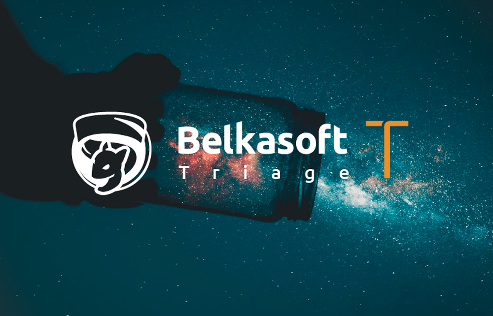 Belkasoft Triage Screenshot 1