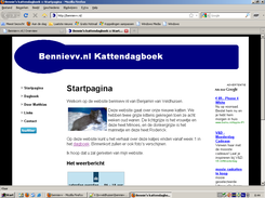 De bennievv.nl homepage (Screenshot gemaakt in Windows 2000)