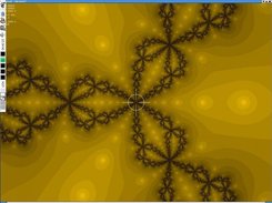 a newton fractal