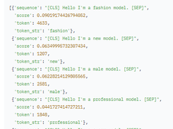 bert-base-cased Screenshot 1