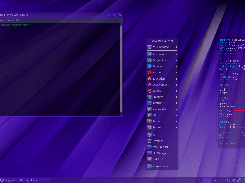 Besgnulinux-02-09_jwm