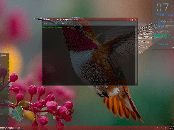 Besgnulinux 4-0 transparent