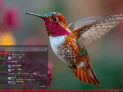Besgnulinux 4-0 menu