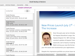 PST, MBOX, EML, MSG, ZIP Archive Viewer Screen - Email Backup & Restore
