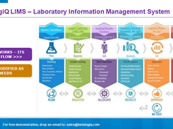 LIMS Process Flow