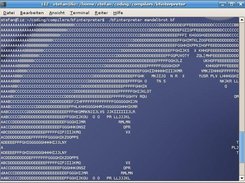 mandelbrot.bf program in action