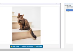Bg-remover App Screenshot 1
