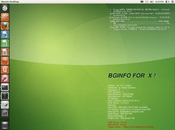 BGINFO4X for Ubuntu and tailing a file