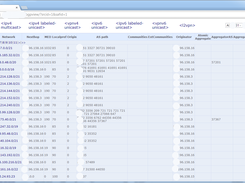 ipv4 unicast view