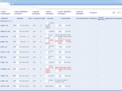 ipv6 unicast view