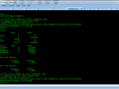 live neighbor counters