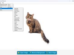 BG Remover - offline Screenshot 2