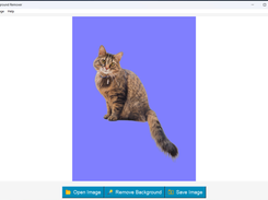 BG Remover - offline Screenshot 3