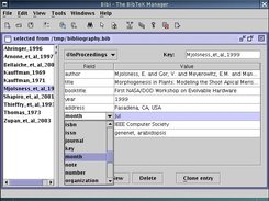 larger view of the entry editor