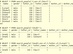 Search with wild-cards