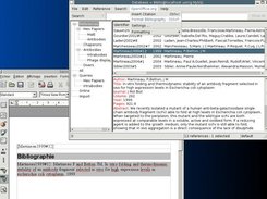 Bibus inserting citations in OpenOffice.org Writer