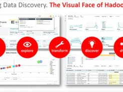 Oracle Big Data Discovery Screenshot 1