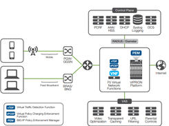 F5 BIG-IP Policy Enforcement Manager Screenshot 1