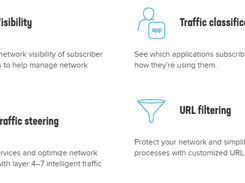 F5 BIG-IP Policy Enforcement Manager Screenshot 1