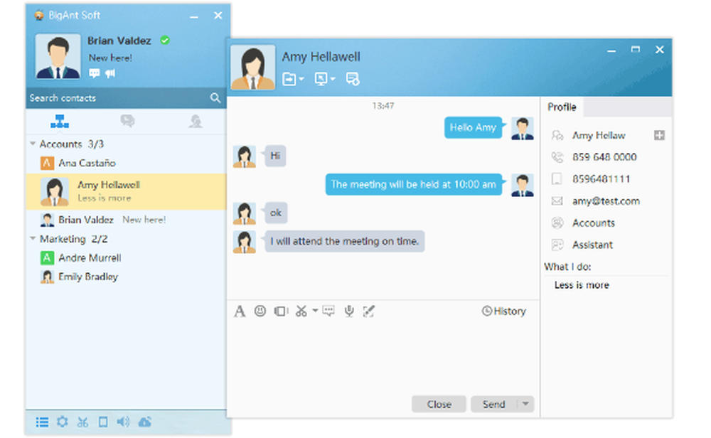 BigAnt Screenshot 1