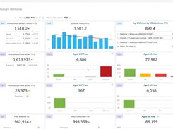 BigHand Business Intelligence Screenshot 1