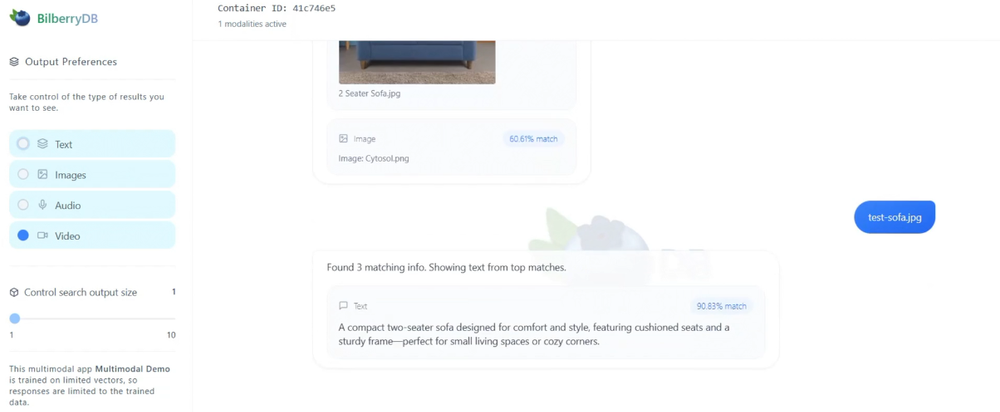 BilberryDB Screenshot 1