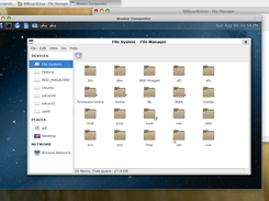 Wayland Desktop