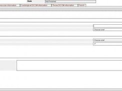 Screenshot of a multi-tab example form