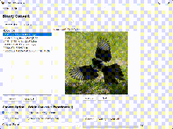 BIN-HEX-file-converter Screenshot 1