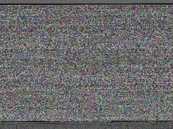 /bin/bash