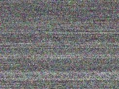 /bin/bash-static 