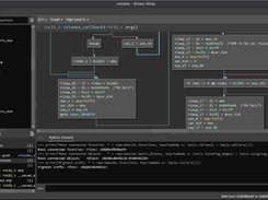 Binary Ninja Screenshot 1