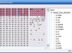 Viewing a exe file.