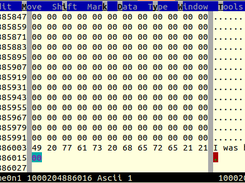 Raw disk access