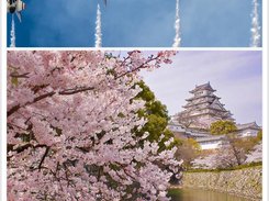 Bing Daily Wallpaper Screenshot 2
