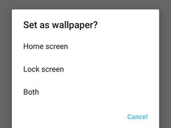 Bing Daily Wallpaper Screenshot 4