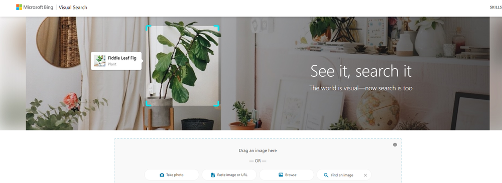 Bing Visual Search Screenshot 1