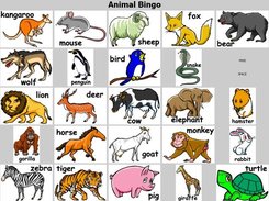 Sample Output Bingo Card