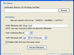 Step 4: File Options