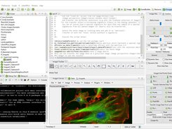 The R Image perspective
