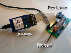 BioBand, breakout board and JTAG dongle