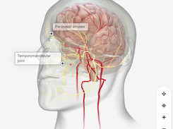 BioDigital Human Screenshot 2