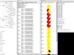 Screenshot showing all windows