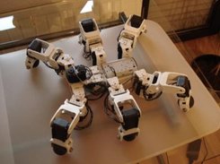 Custom-built Hexapod